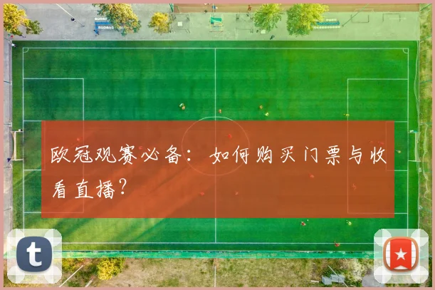 欧冠观赛必备：如何购买门票与收看直播？
