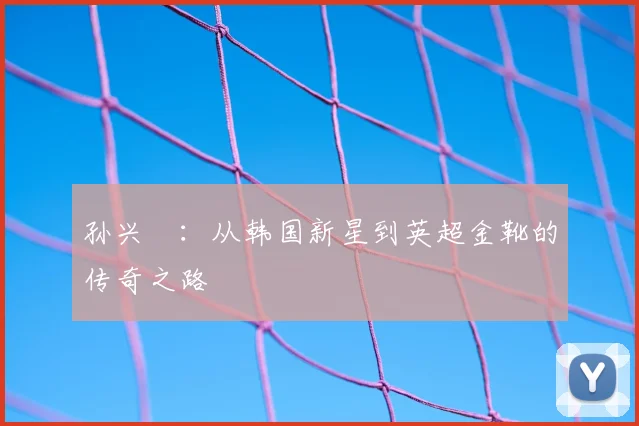 孙兴慜：从韩国新星到英超金靴的传奇之路
