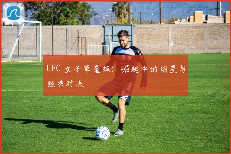 UFC 女子草量级：崛起中的明星与经典对决